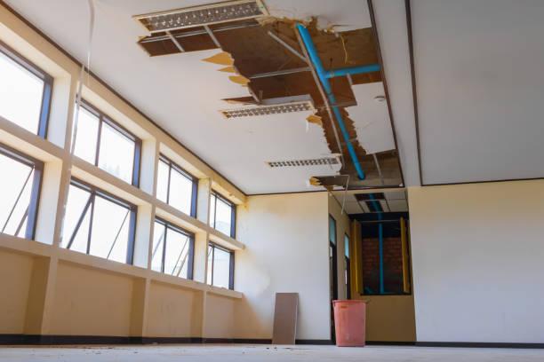 Best Ceiling water damage repair  in Beacon Hill, WA
