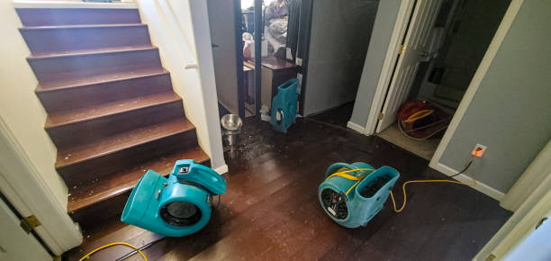 Best Sewage cleanup and water damage restoration  in Beacon Hill, WA