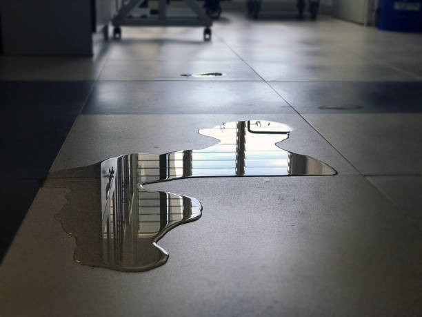 Water damage restoration experts in WA