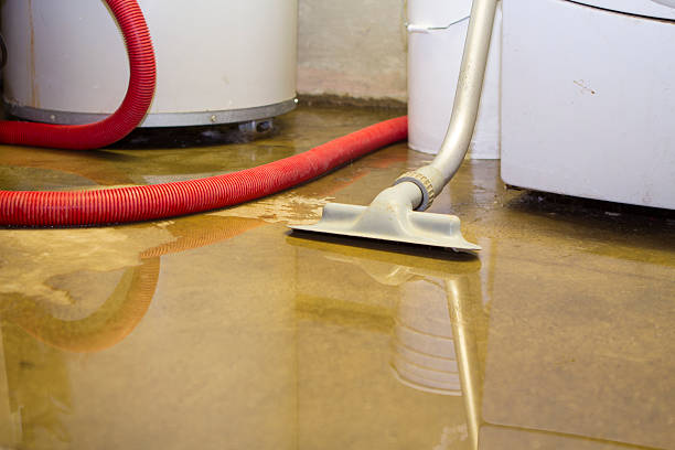 Best 24/7 water damage repair  in Beacon Hill, WA